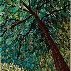 Rhoda-Bennett-Tree-Canopy