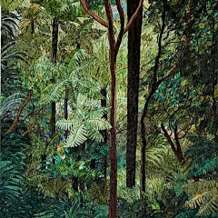 Rhoda-Bennett-Tree-Ferns-in-the-Forest